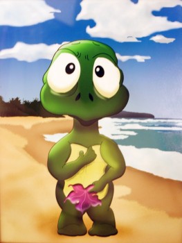 turtle.jpg (77.94 KiB) Przeglądane 4334 razy turtle.jpg