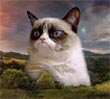 Avatar użytkownika
