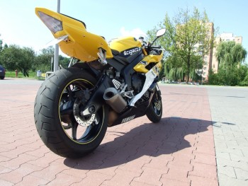 Obraz 309.jpg